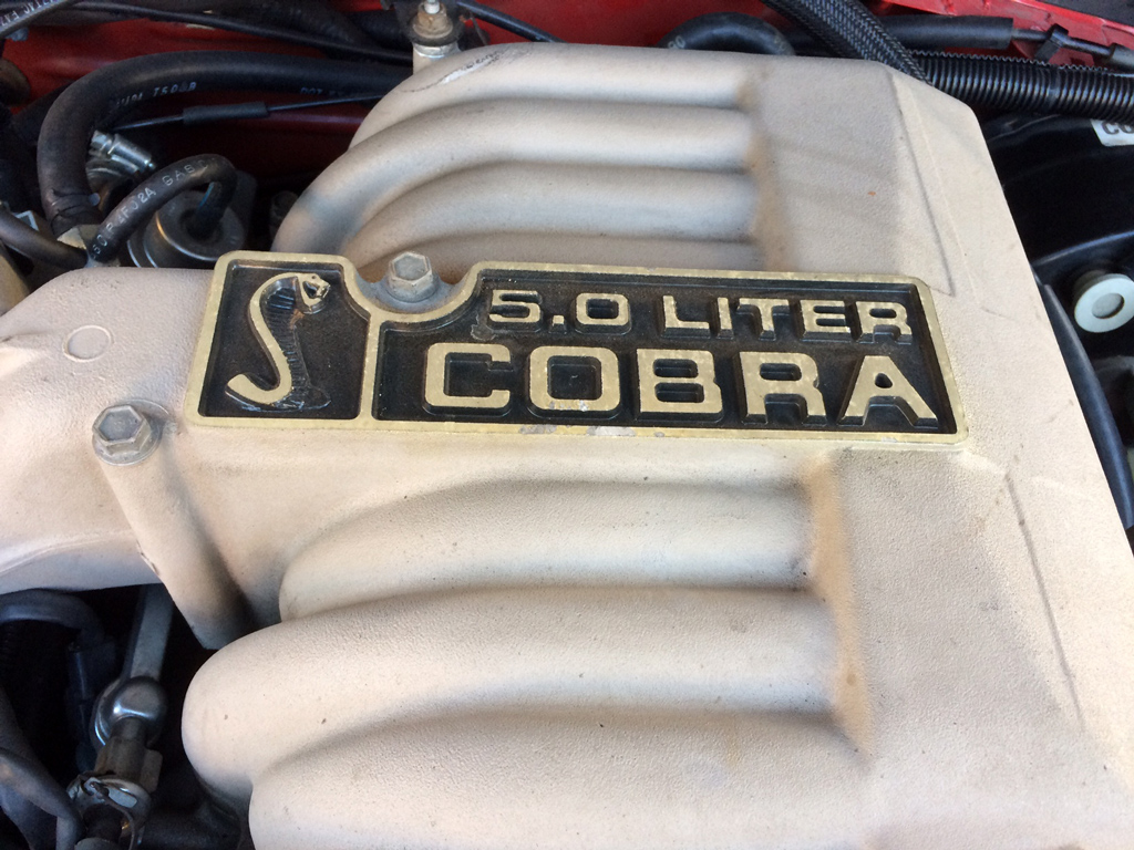 1994 Ford Mustang Cobra - SOLD